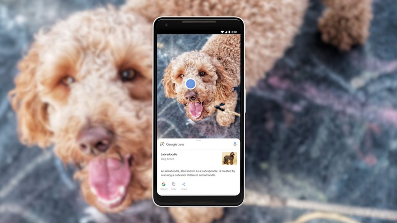 Google Lens känner igen 1 miljard olika saker