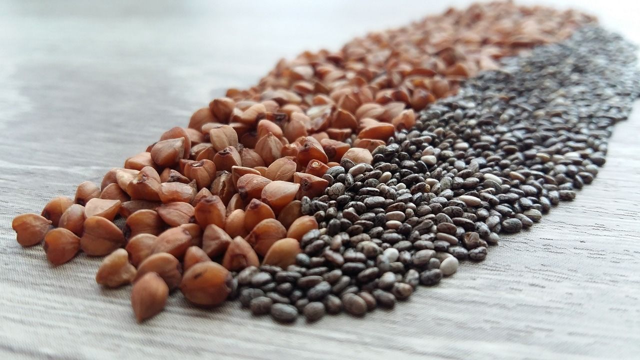 Sverige får sin första fabrik för växtprotein