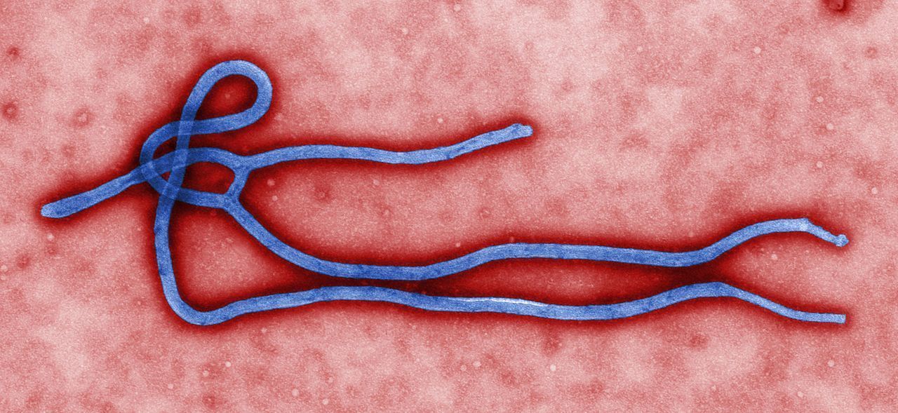 Misstänkt ebolasmitta i Enköping