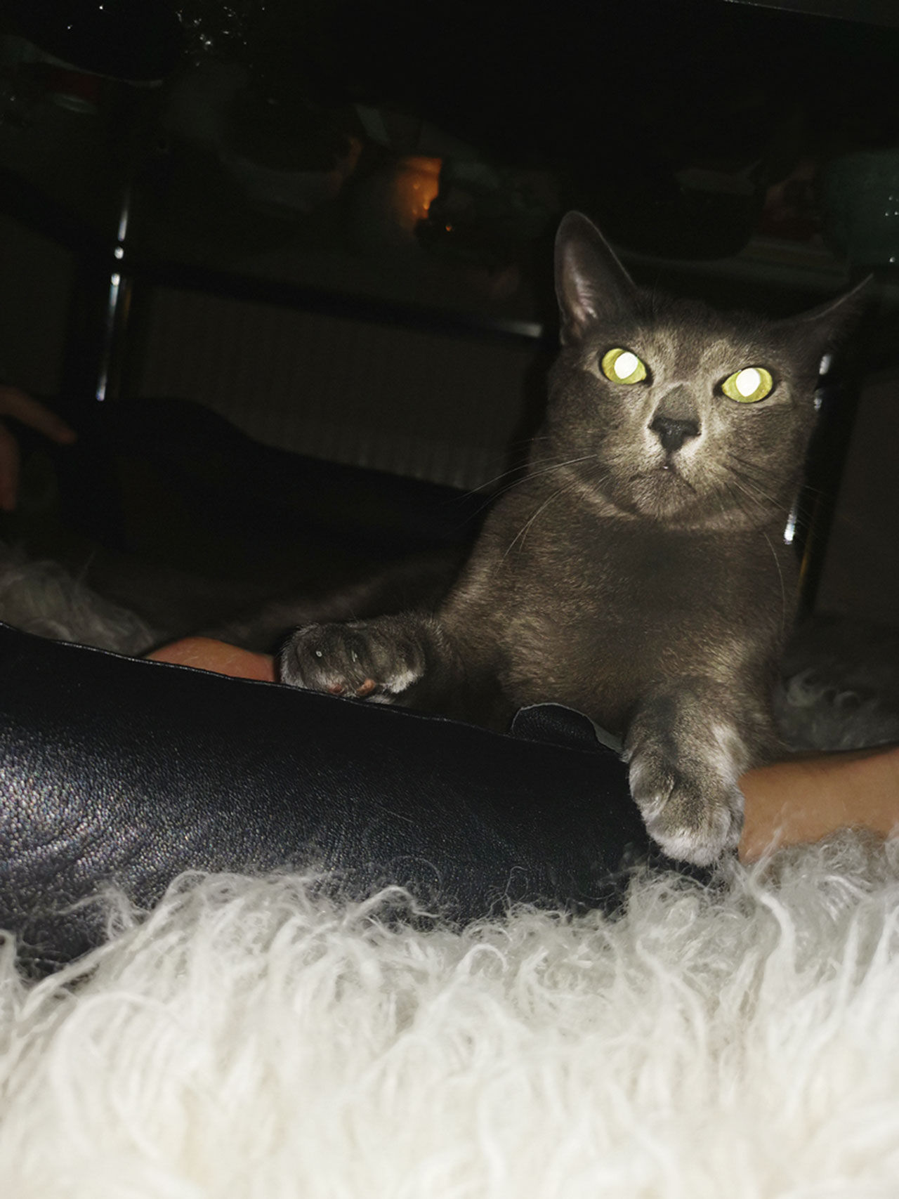 Lär dig ta bättre mobilbilder