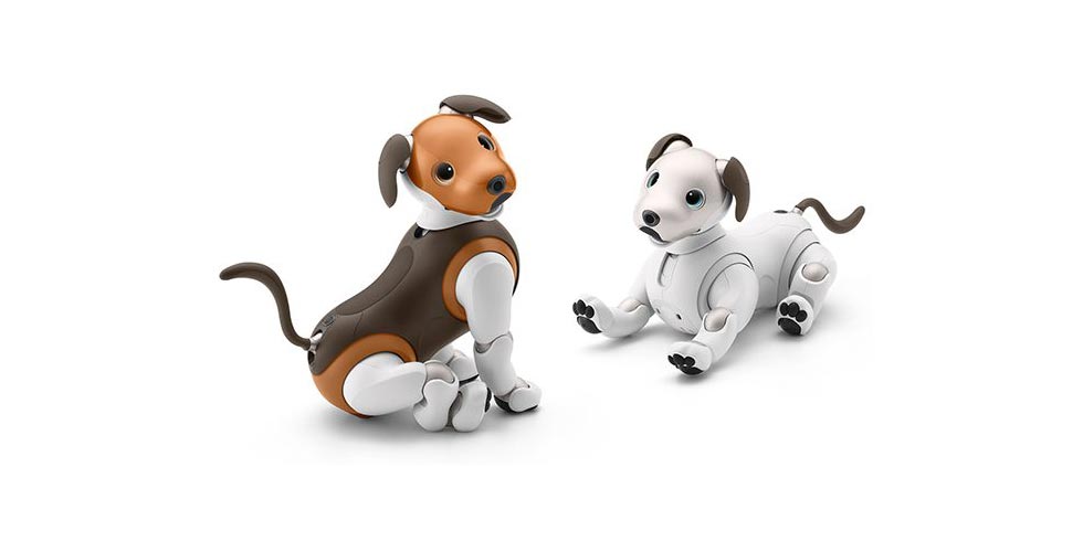 robothund aibo