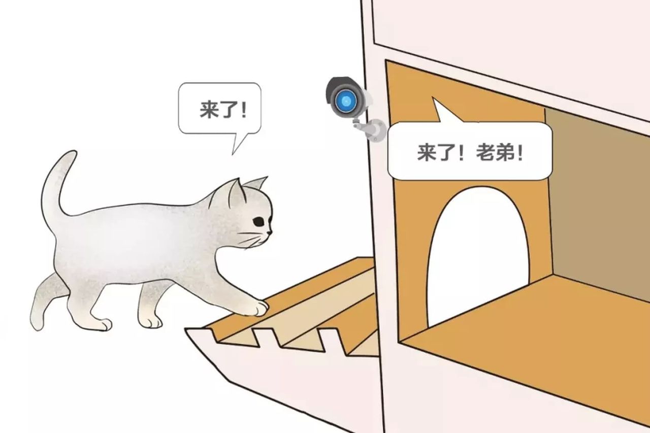 Baidu har utvecklat en smart kattkoja