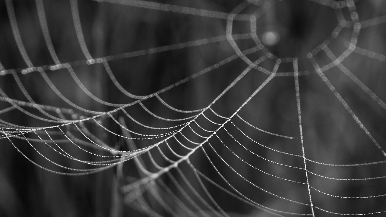 620 miljoner läckta konton till salu på dark web