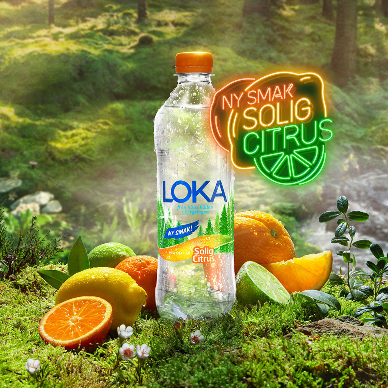 Loka presenterar Solig Citrus
