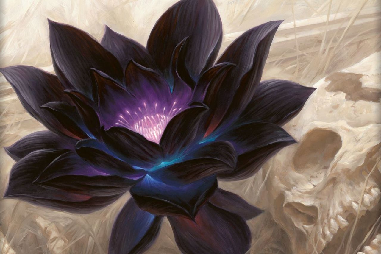MTG-kortet Black Lotus har sålts för 166.100 dollar