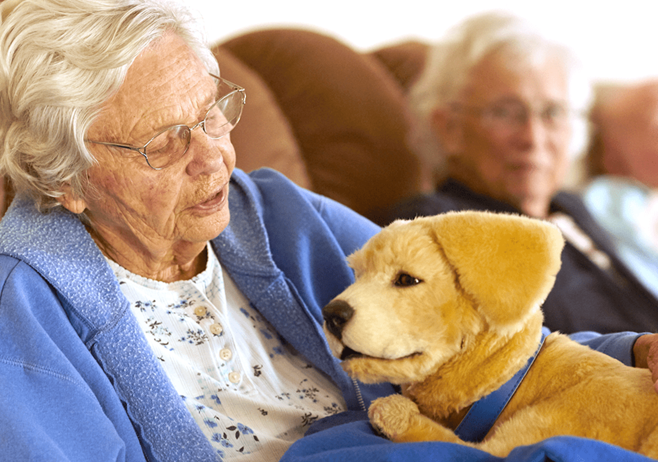 Tombot Puppy är en robothund som kan hålla dig sällskap