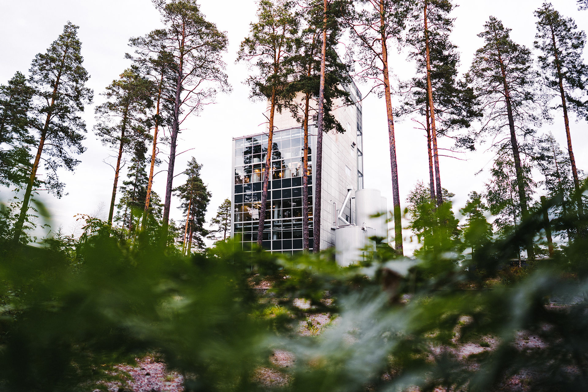 Mackmyra har skapat en whisky med AI