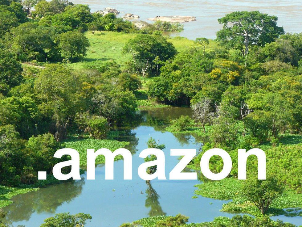 Brasilien föreslår kompromiss om Amazon-domänen
