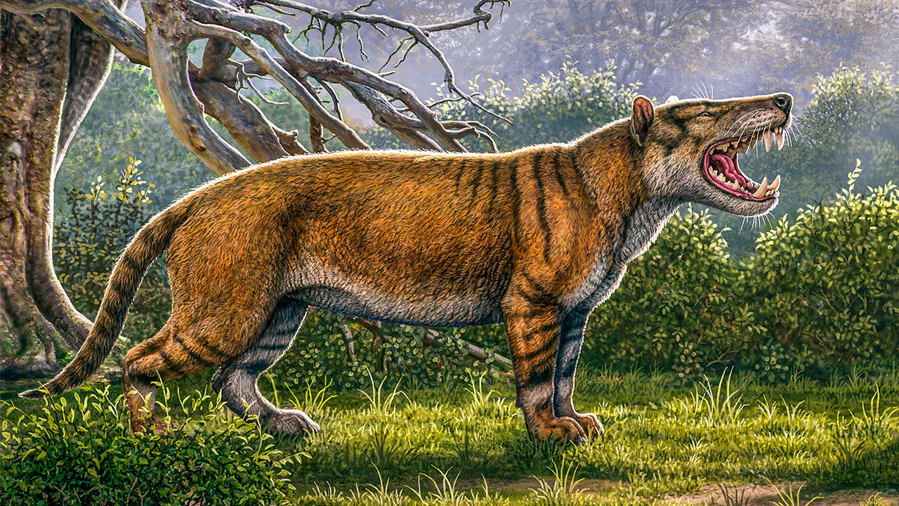 Fossil från stor köttätare hittade i Kenya