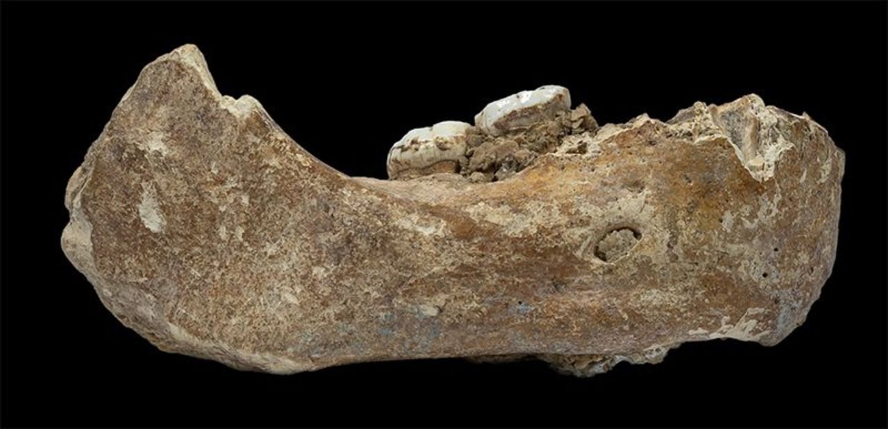 Fossil från denisovamänniska hittad i Tibet