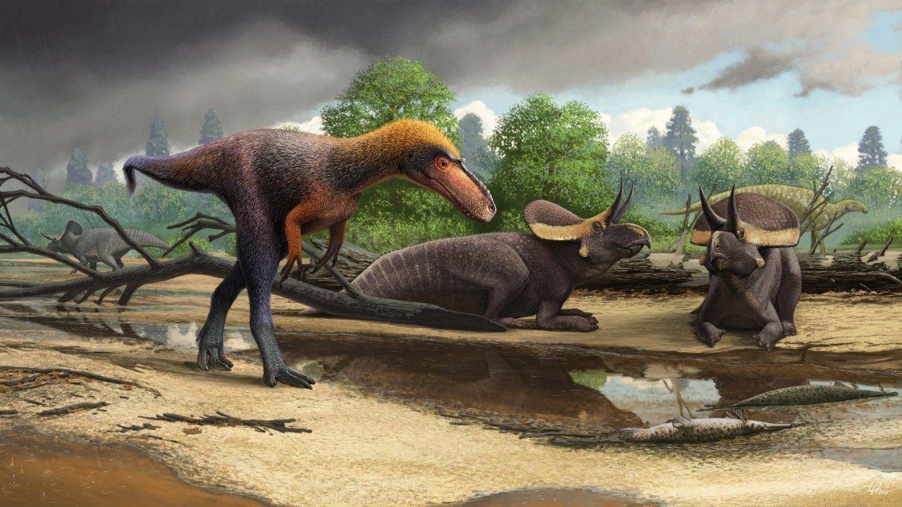 Tidigare okänd släkting till tyrannosaurus rex hittad
