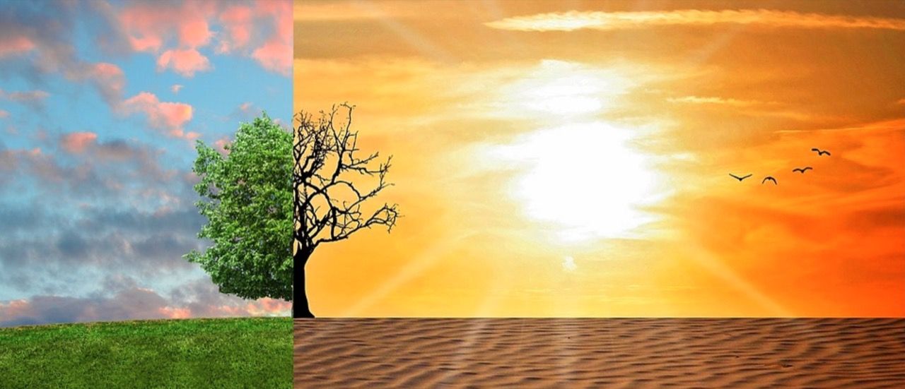 Svenskarna tror att klimatförändringar beror på människan