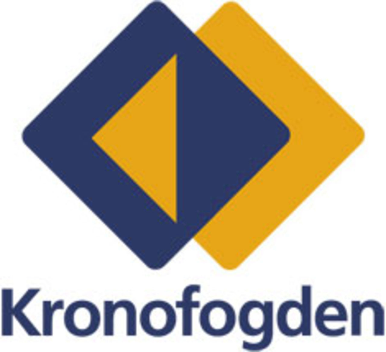 Kronofogden starka 2007