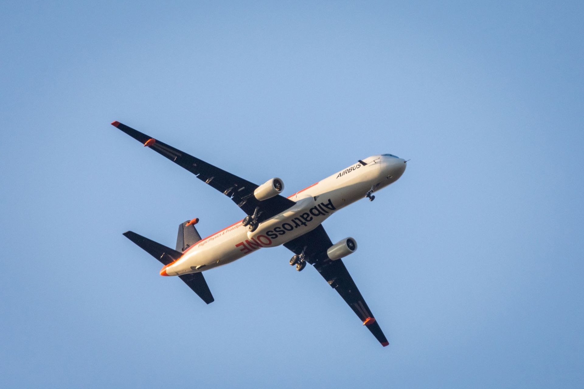 Airbus AlbatrossOne flaxar med vingarna som en fågel