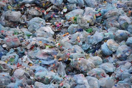 Plastpåseskatt Ger Rekordintäkter