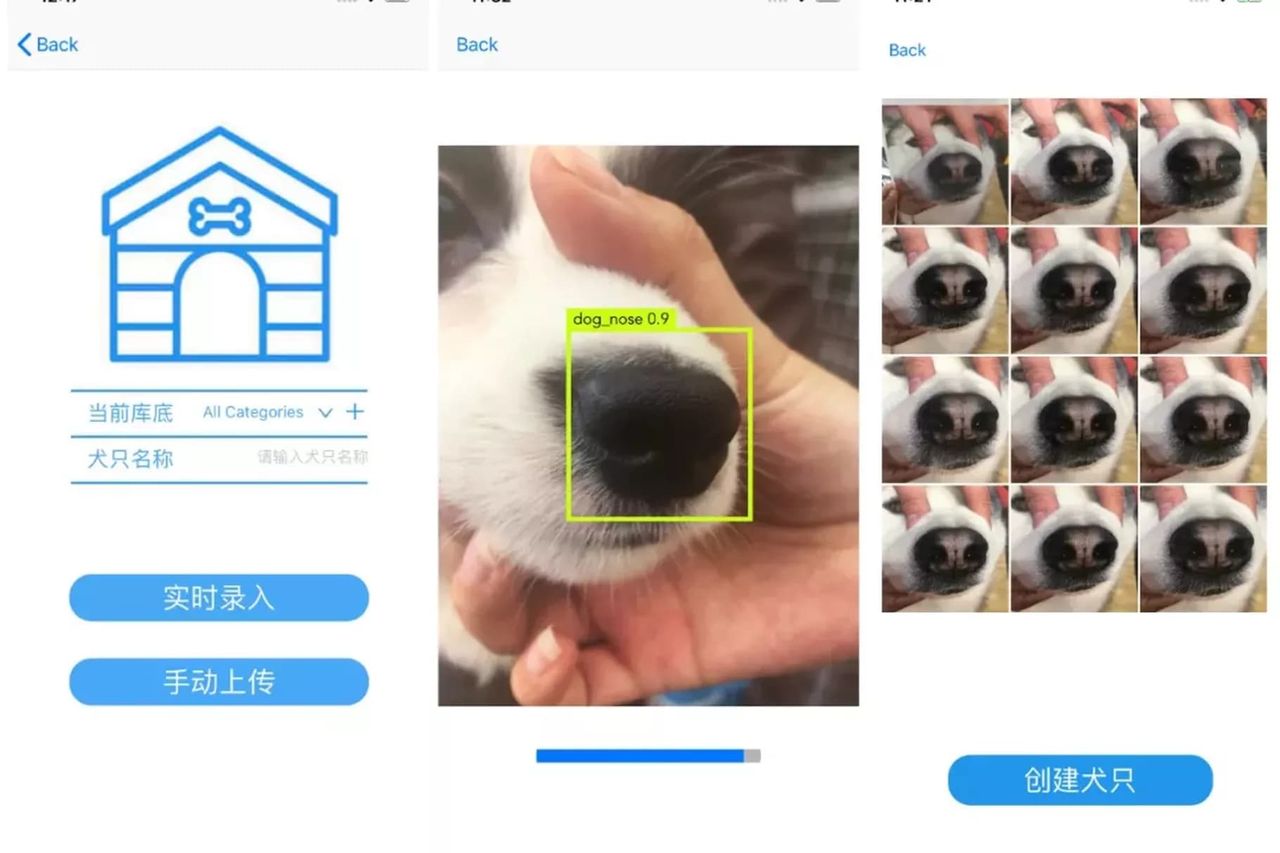 AI återförenar hundar med sina ägare