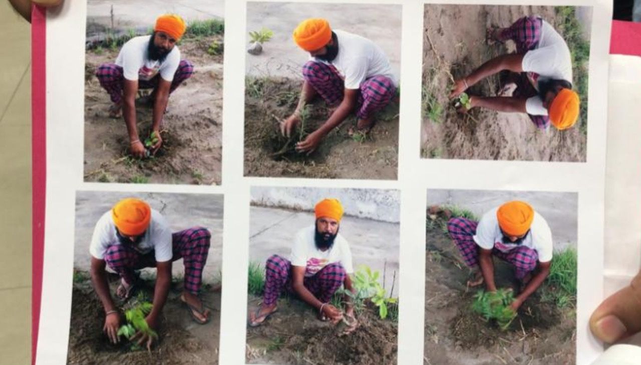 I Indien måste man plantera träd om man vill ha vapenlicens