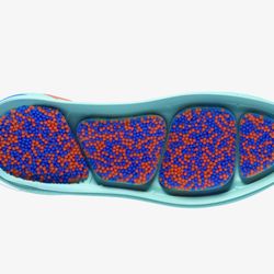 Tumnagel