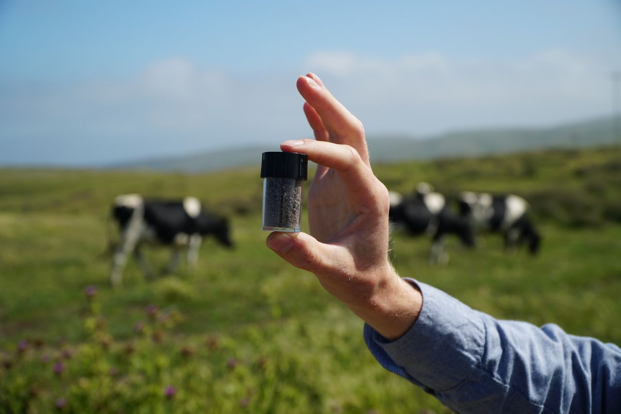 Volta Greentech ska få kossor att fisa mindre
