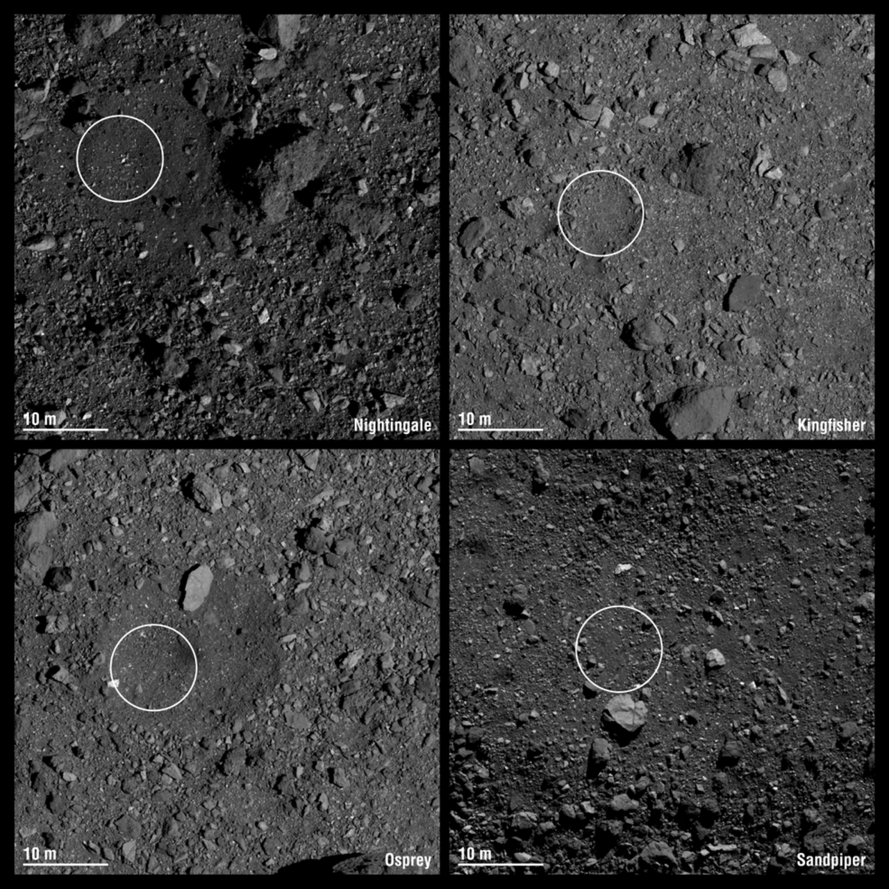 NASA har utsett fyra landningsplatser på asteroiden Bennu