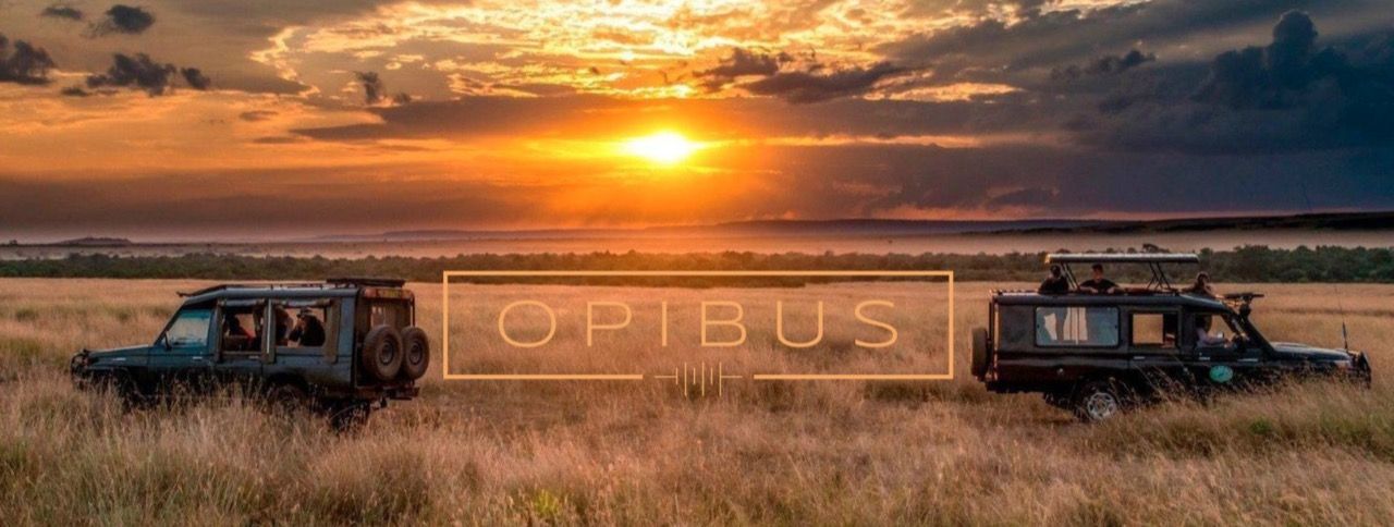 Svenska Opibus gör om fossildrivna bilar till elbilar i Afrika