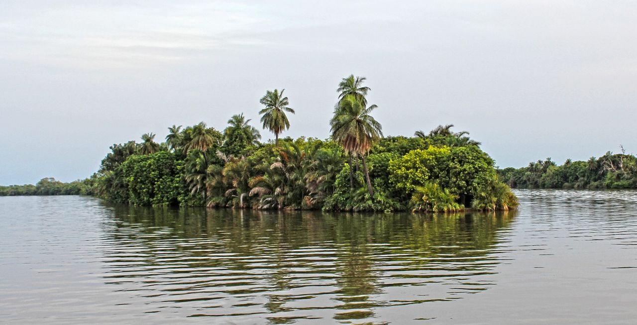 Endast Gambia och Marocko uppfyller Parisavtalet