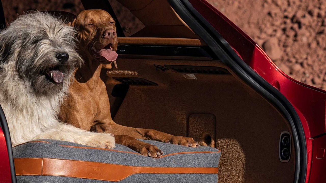 Aston Martin presenterar tillbehör till suven DBX