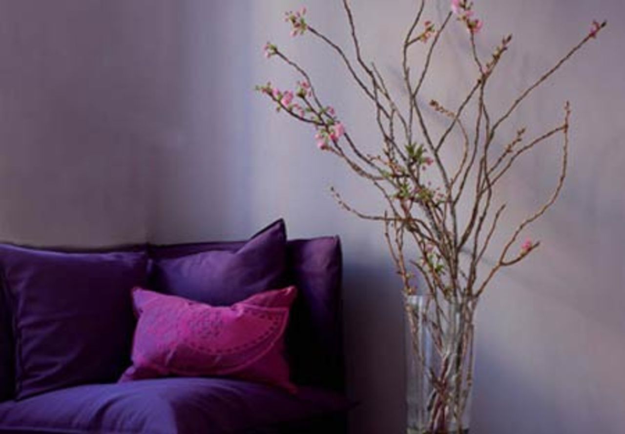 Färgen Lady i nya kulörer