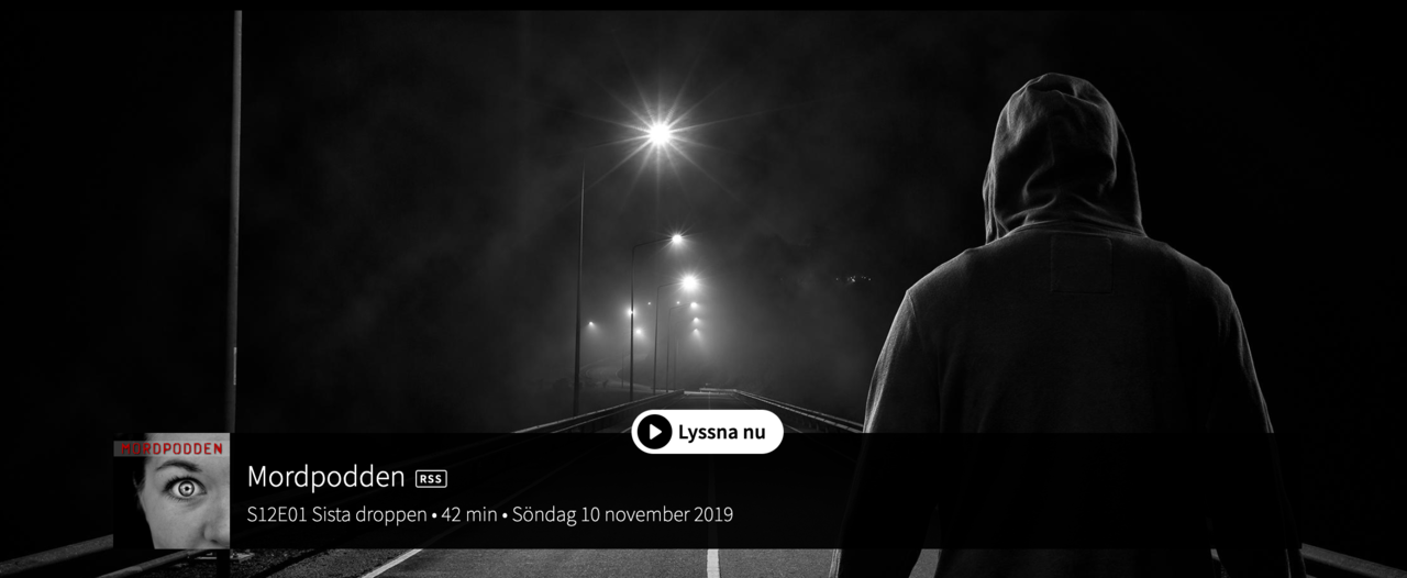 Mordpodden kan komma att åtalas för plagiat