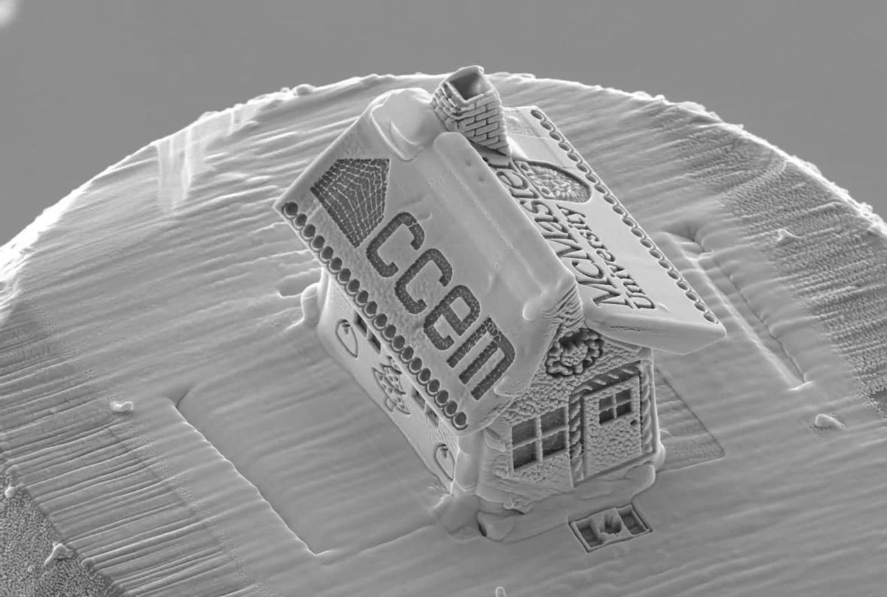 Här är världens minsta pepparkakshus