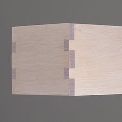 Tumnagel