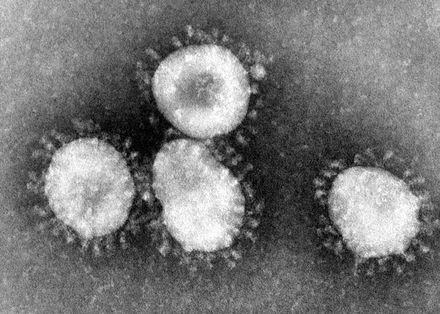 Tumnagel