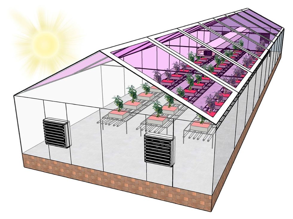 Forskare testar transparenta solpaneler på växthus
