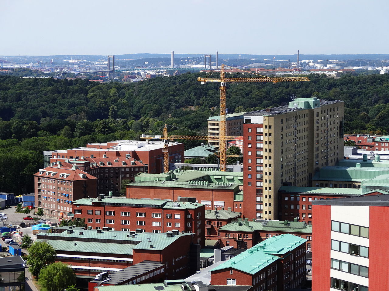 Sverige har fått sitt andra fall av coronaviruset