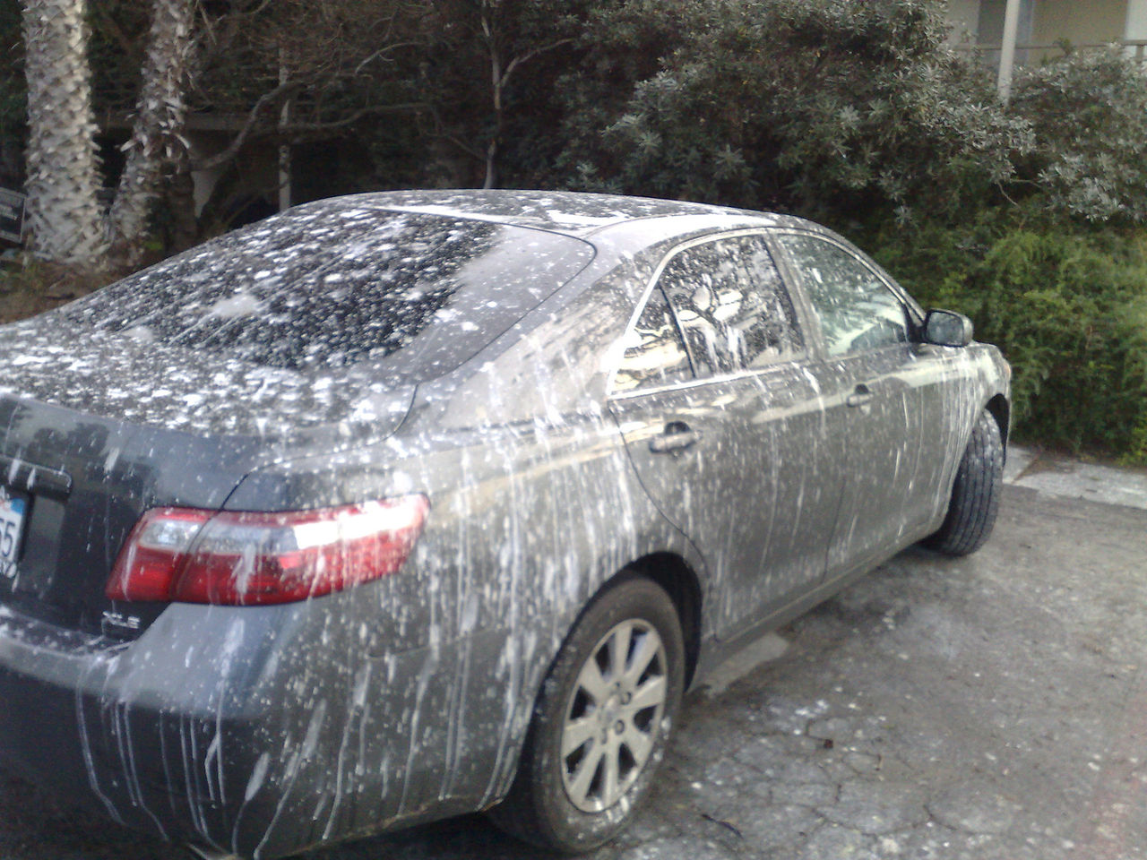 Ford tillverkar fejkad fågelskit