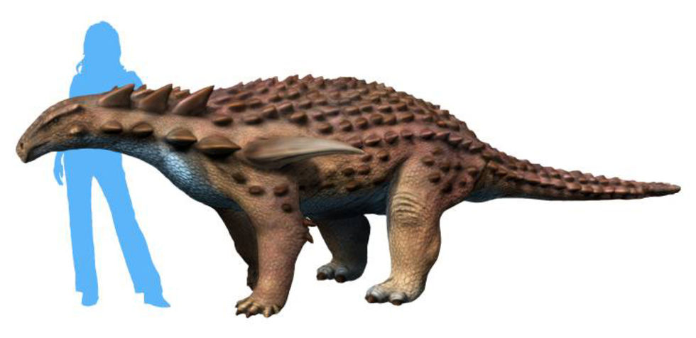 Kolla in när utgrävningen av en dinosaurie ballar ur