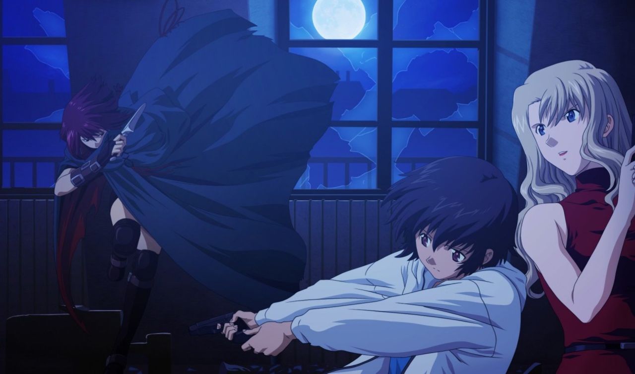 Anime-fantast använde botnät för anime