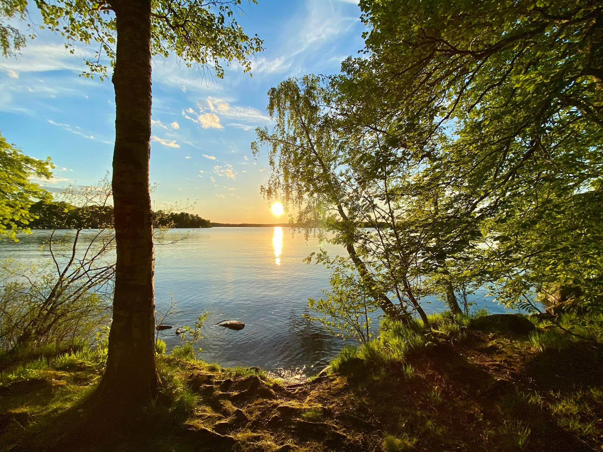 Feberläsare tar fin bild med iPhone