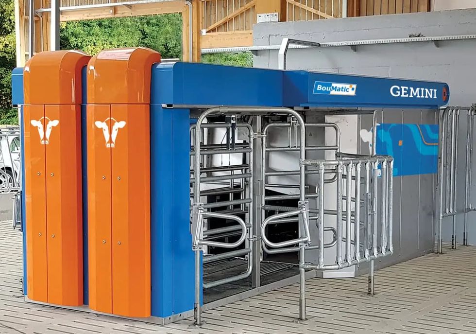 Roboten Gemini kan mjölka två kossor åt gången