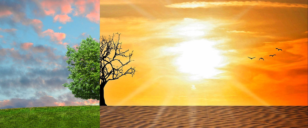 Svenskar väldigt skeptiska till klimatförändringar
