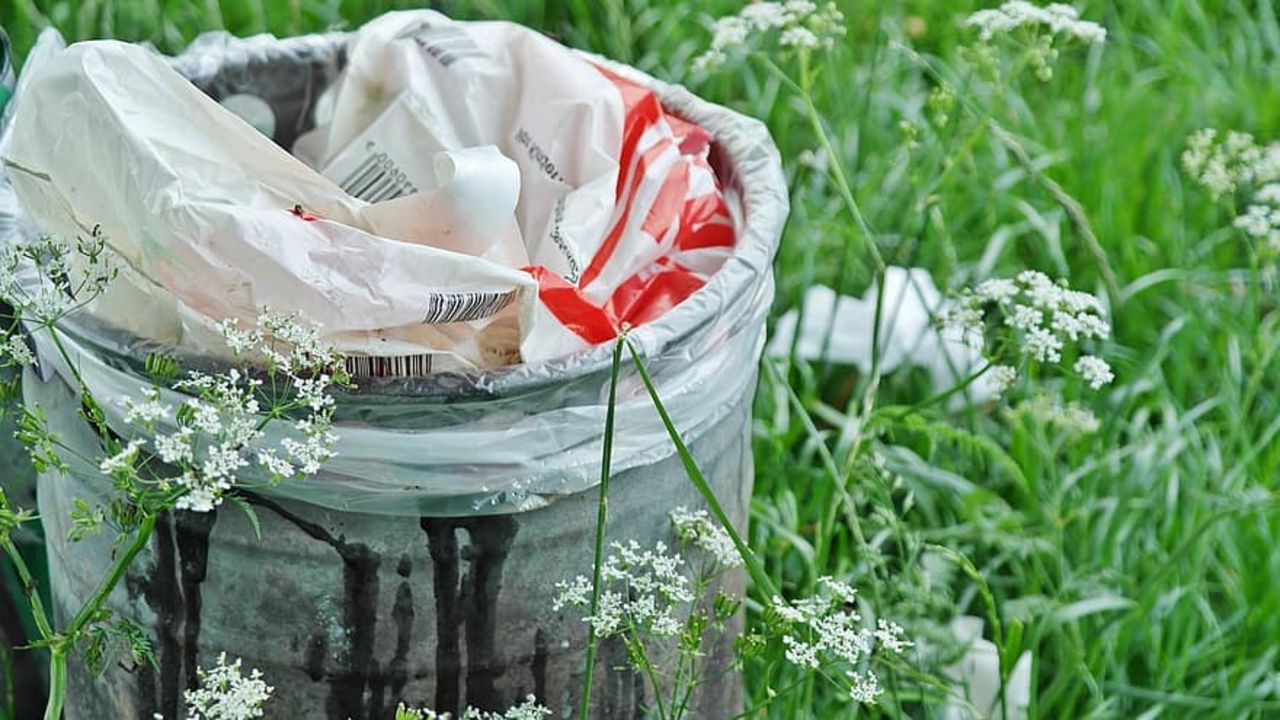 Försäljningen av plastpåsar har halverats