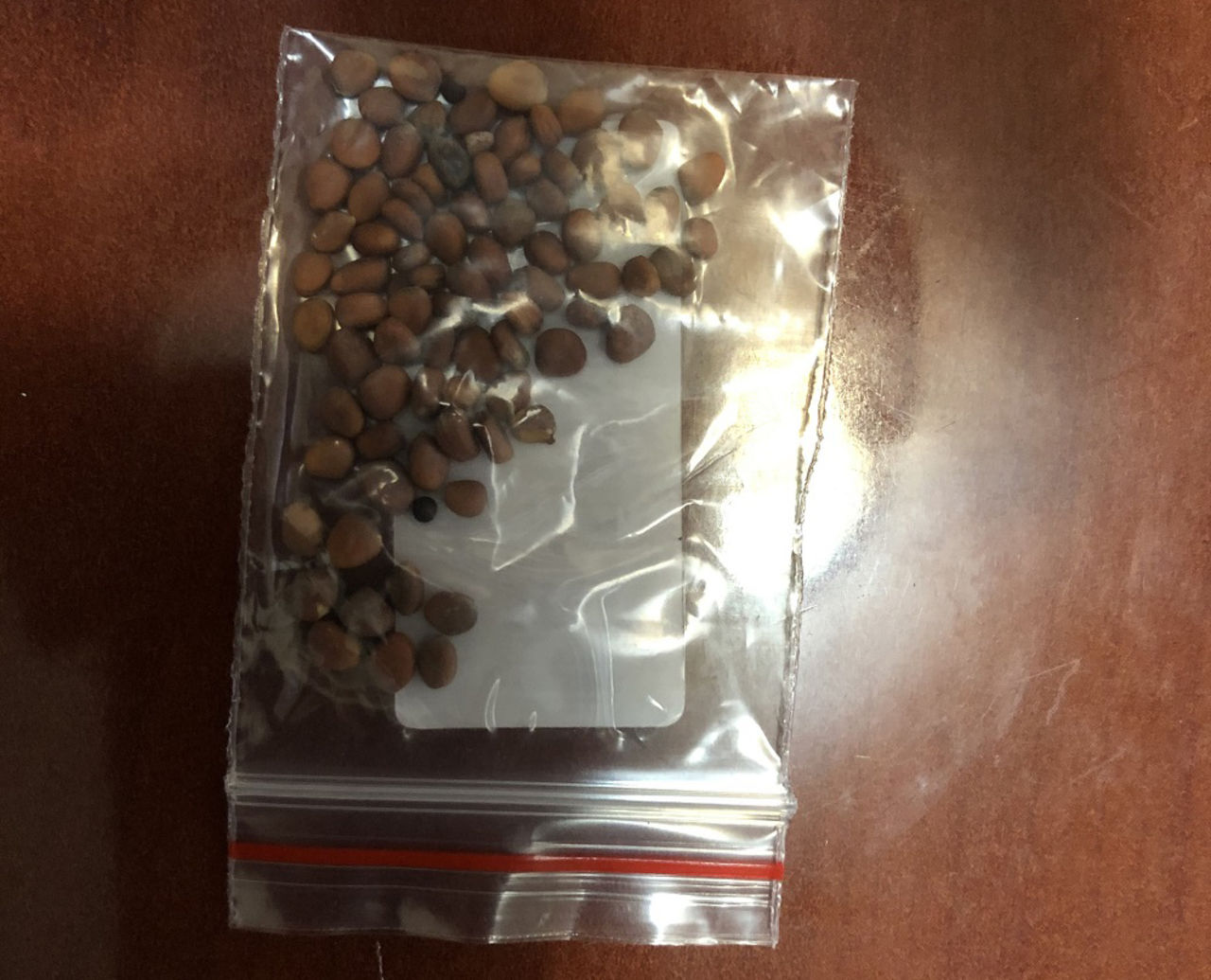 Amerikaner varnas för att plantera mystiska fröer