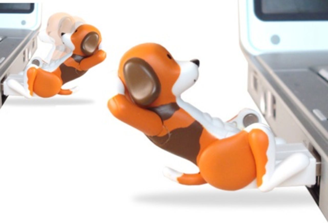 Den juckande hunden får en tränande bror