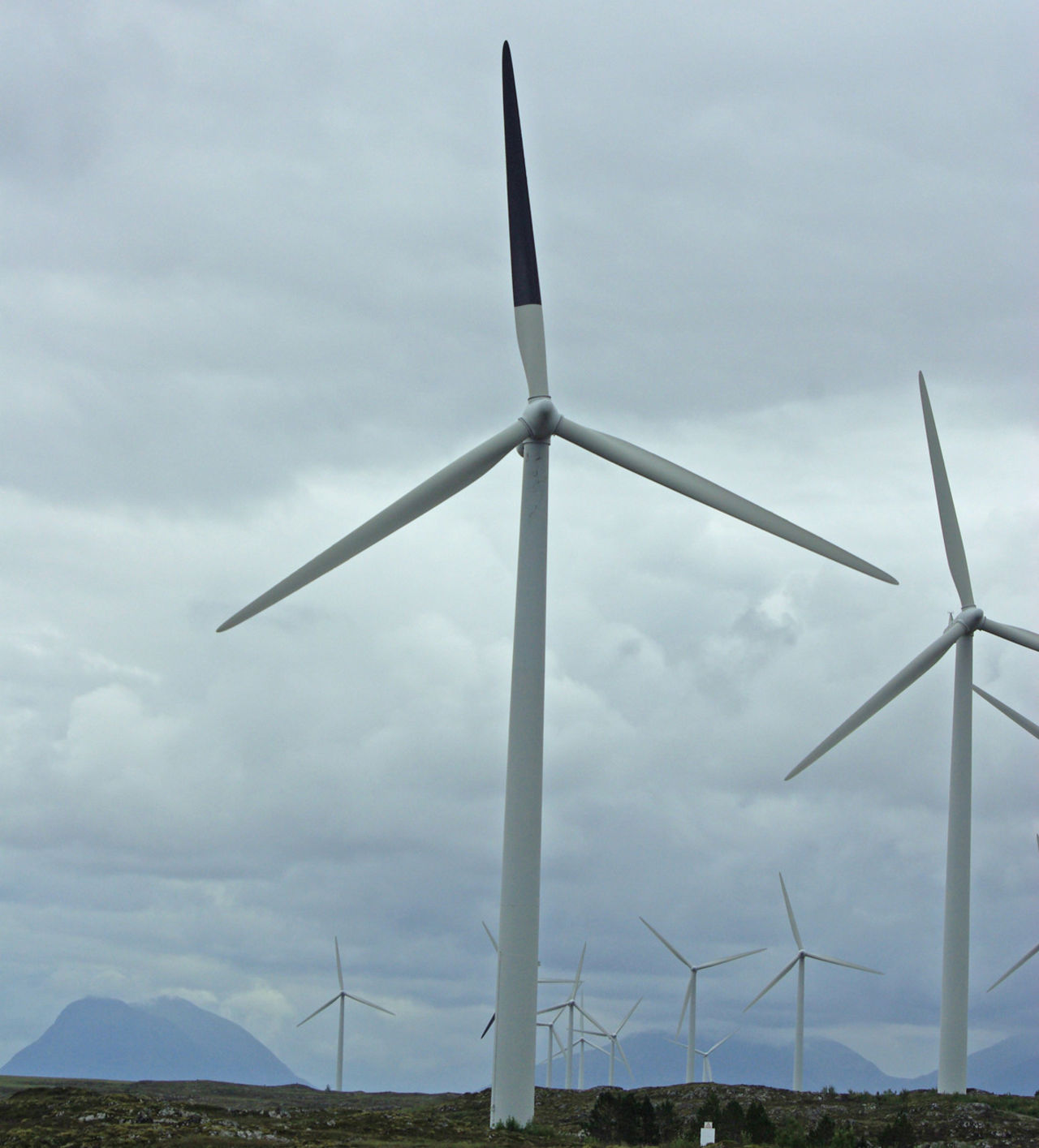 Svart färg kan göra vindkraftverk mindre dödliga