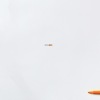 Bild till bildspel