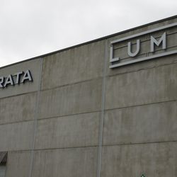 Tumnagel