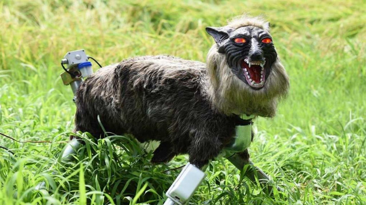 Robotvarg beskyddar stad i Japan