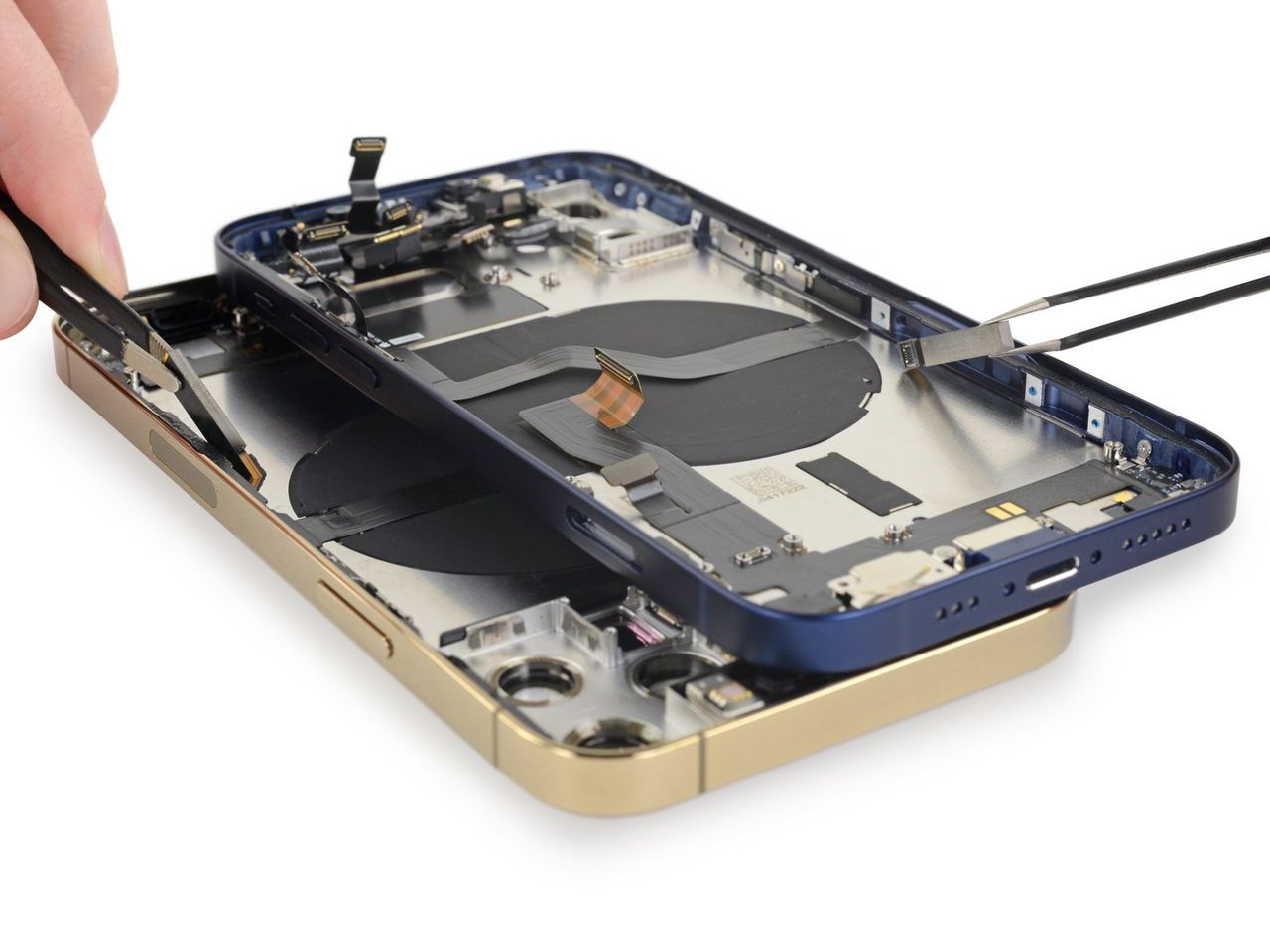 iFixit river isär iPhone 12