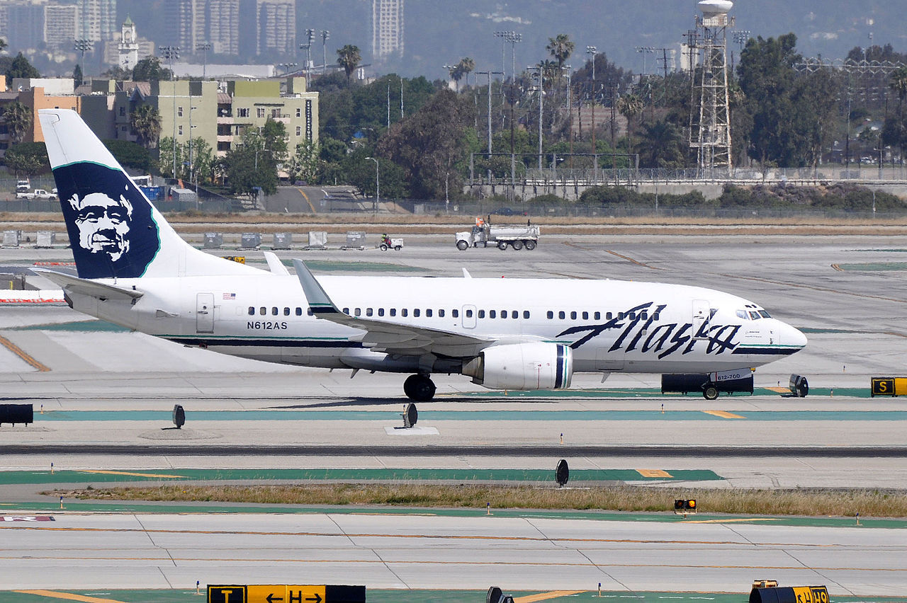 Björn dödad av flygplan