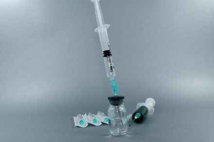 Tumnagel